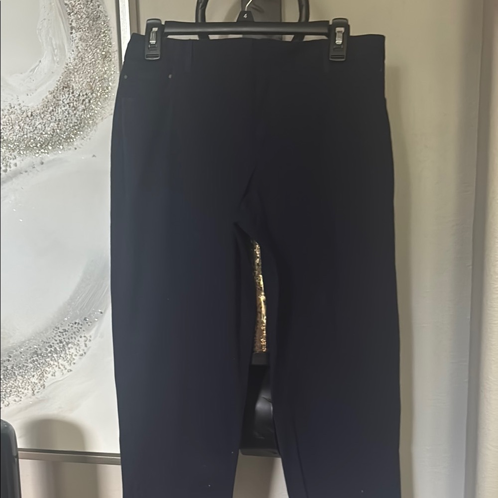 Bay studio Classic navy  Pants zipper ankle nwt